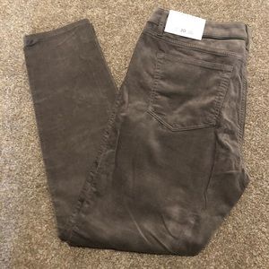 Loft curvy skinny cords